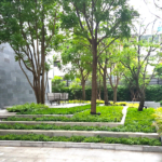 Hyde Sukhumvit 11　緑地・庭園